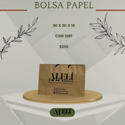 BOLSA DE PAPEL 30 X 20 X 10