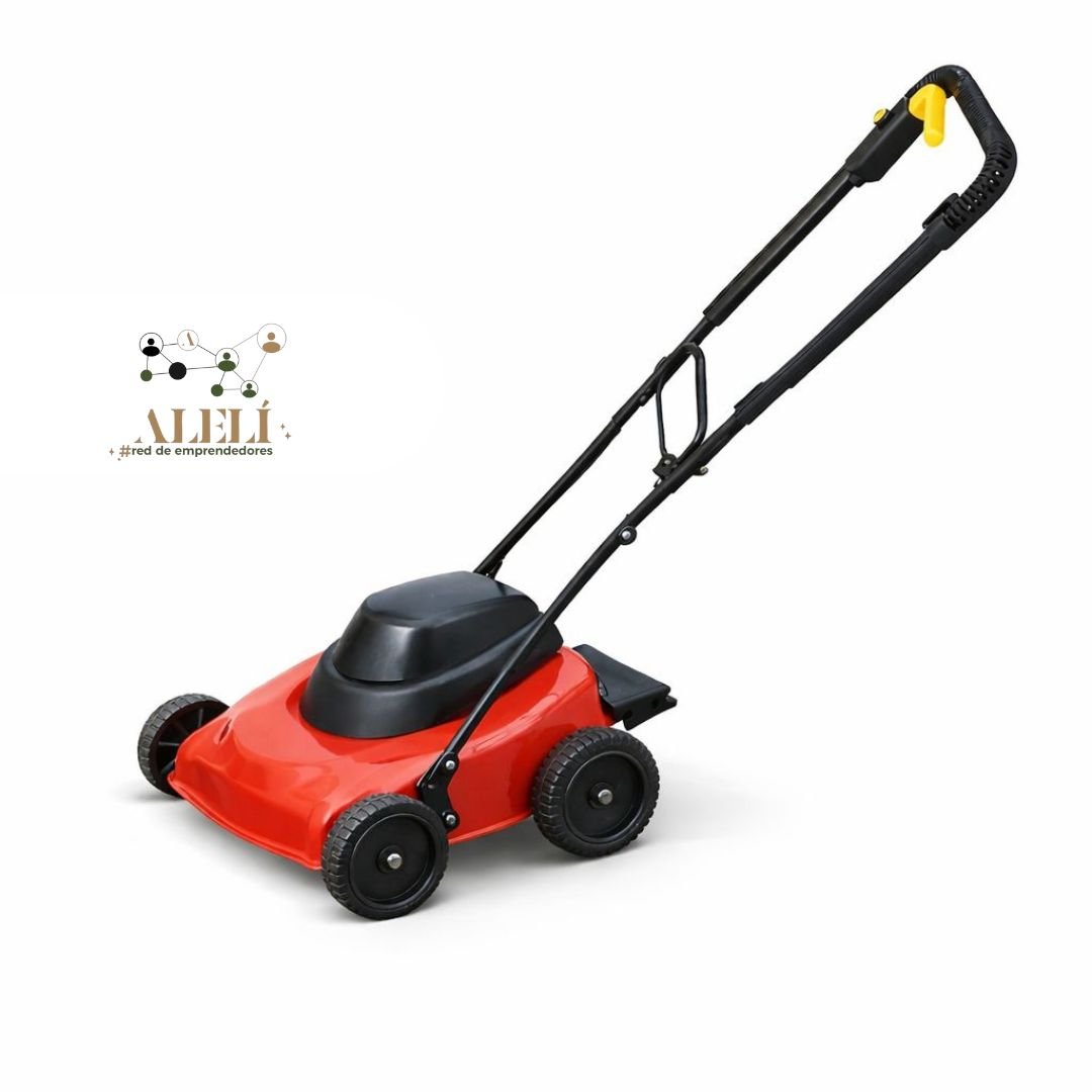 WhatsApp Image 2026-01-13 at 18.07.28